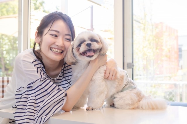 犬と飼い主